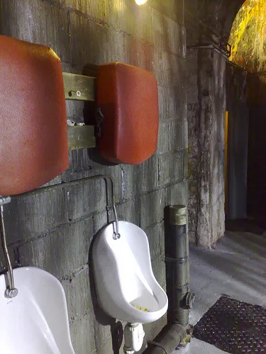 Urinal Headrest