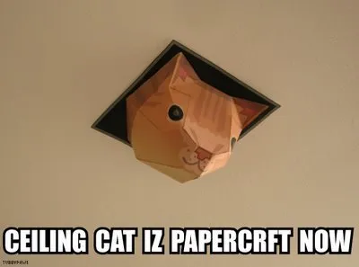 Tubbypaws, via Nick and Jess