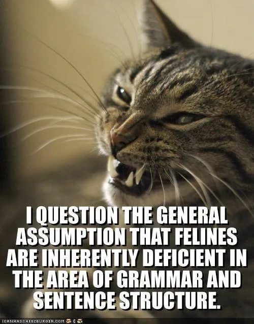 I QUESTION THE GENERAL ASSUMPTION…