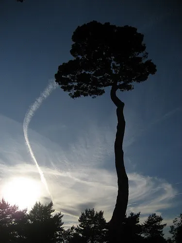 Vapour