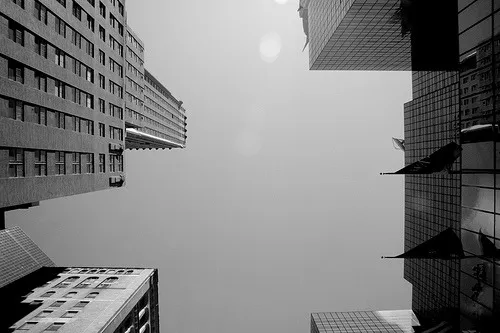 Buildings (via flippers)