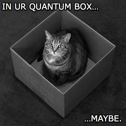 Photo of a cat in a box with the caption “In UR quantum box… maybe.”