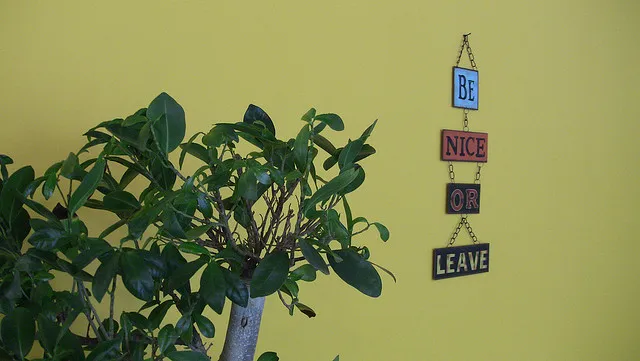 Be Nice or Leave (by Kaz Patwa)