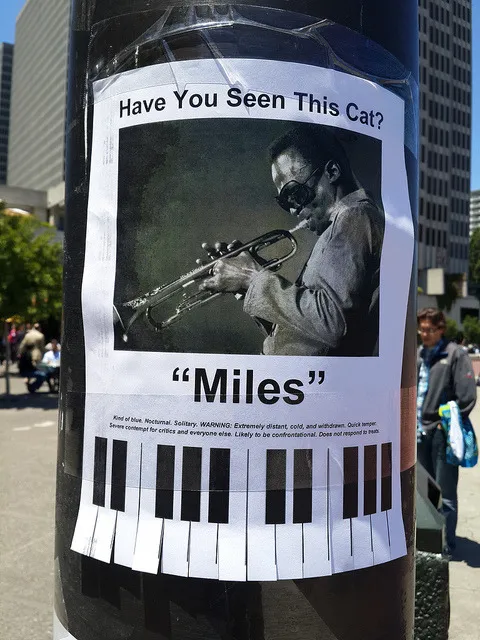 Have you seen this cat?
